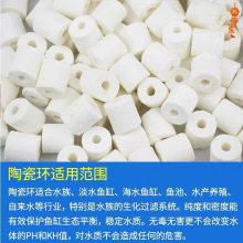 ~մɭhǲhˮh~ˮ^Vϼl