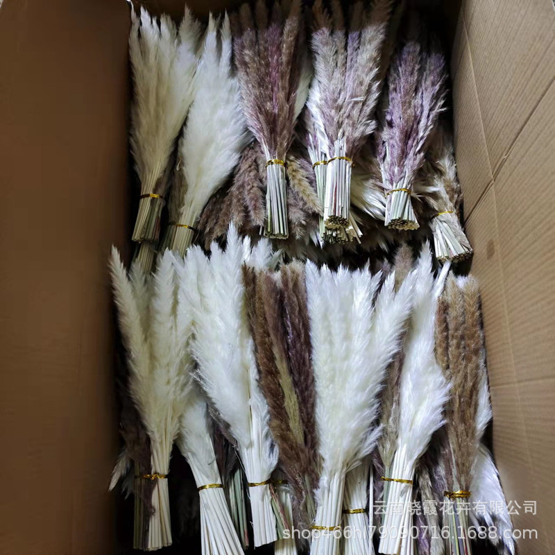 159c73d37b0cdd26c39f10e17a645d