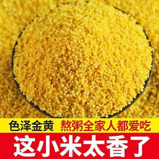 �����SС����؛�r���Ԯa���С�S��С��������s�Z�����������