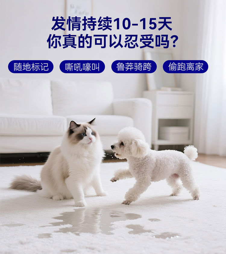 O1CN01AhFXdZ1QS8tedY7YK_!!2206811161974-0-cib.jpg