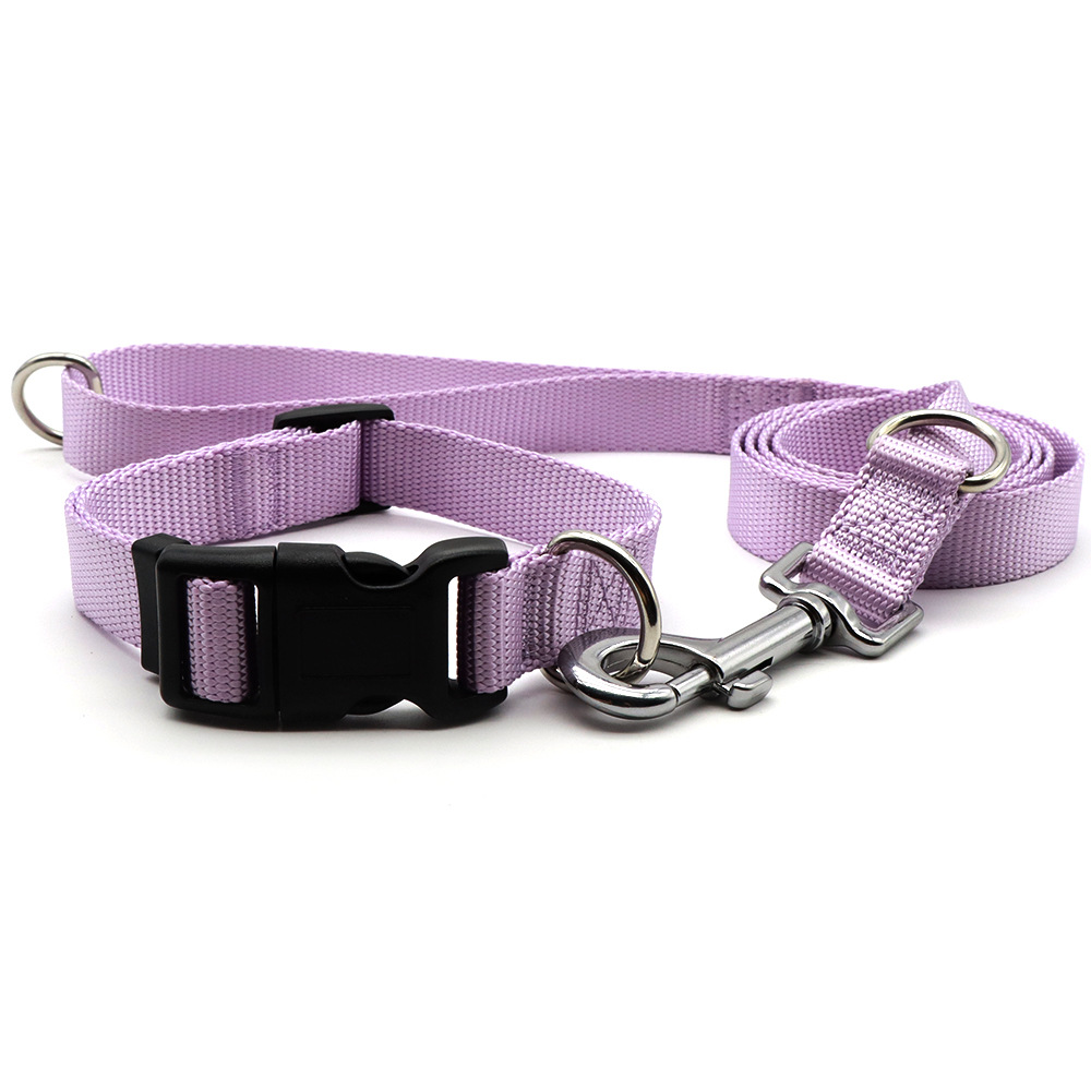 Suministros para mascotas collar perro correa de entrenamiento para perros suministros macaron color Doble D Hebilla correa de perro ajustable