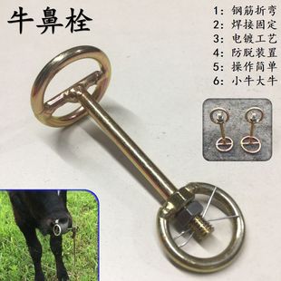 ţ��˨ţ�ǭhţ�ǿ�ţ��Ȧţ���Ӡ����K�����Bţ��ţ��ţ˨ţ����