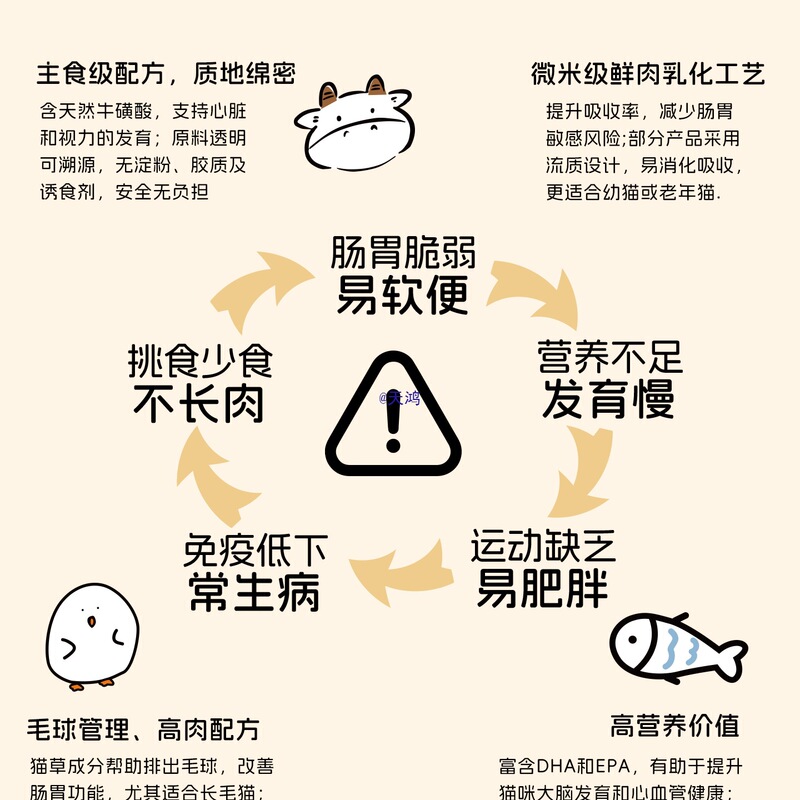 Main Food Cat Strips 10*10 Beef Chicken Tuna Pet Food Snacks Cat Main Food Cat Strips Meow