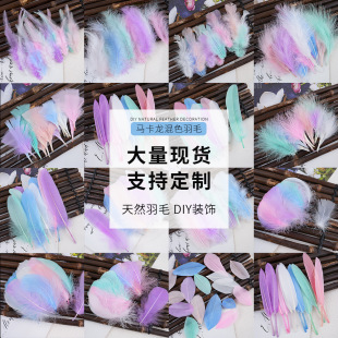 ���Sֱ�NDIY��ë���|���Zë�R����ɫϵ�����W�b���o�����