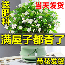 һ�����l���������������Ծ������Ϙ����ˮ���d�ӻ��ܾGֲ����