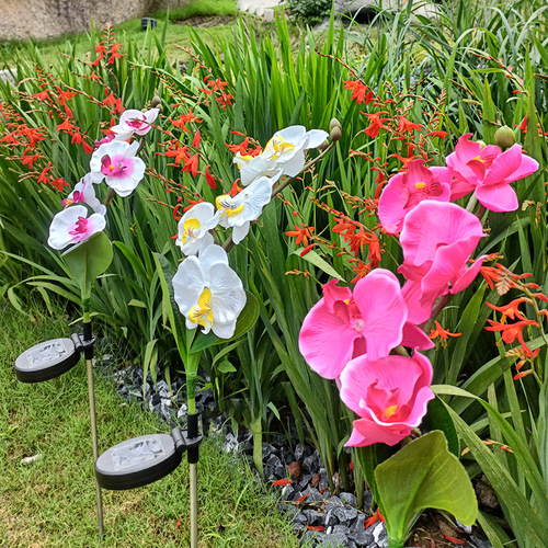 Cross-border new solar outdoor lights, courtyard decoration, LED lawn lights, simulated butterfly orchid lights