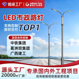 市政工程款路灯户外照明防水8米10米12米热镀锌工艺LED市电路灯