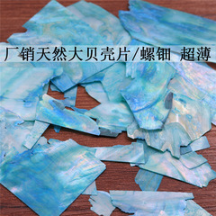 天然の螺旋の切れの非遺品の手作りのdiyの大きい貝殻の薄い薄片の工芸品の原材料は超薄い点翠を加工します。
