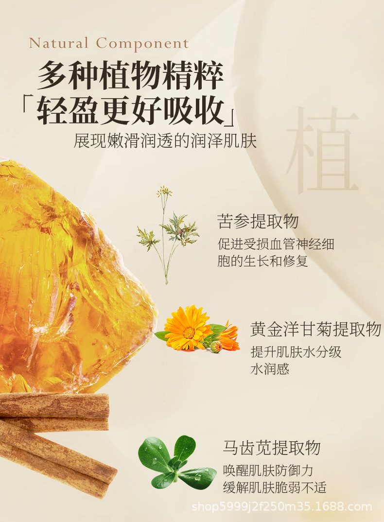 曦鸟白细胞