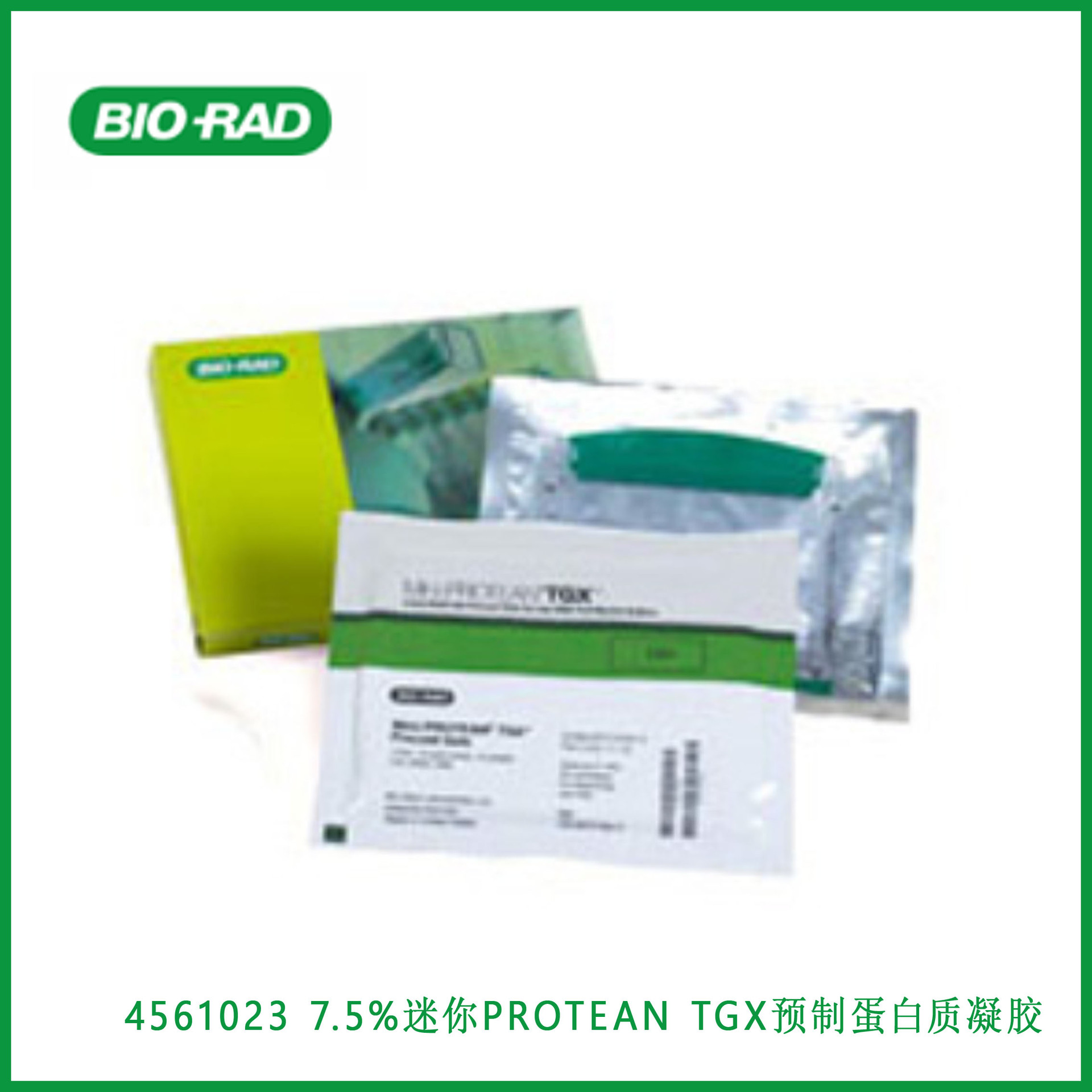 伯乐Bio-Rad 4561023 7.5%迷你PROTEAN®TGX™ 预制蛋白质凝胶