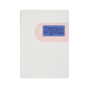 CO carbon monoxide detector for factory real sales building automation project