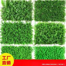 ֲٲƤmϾGֲT^bֲ