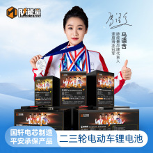 ܎߿}F䇄늳64V30Ah늄܇ƿ