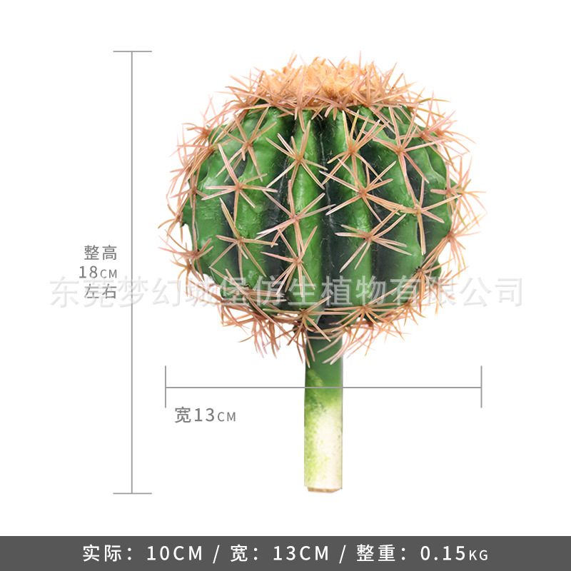 Simulación nórdica Planta verde Pilar de hadas Cactus grande piso interior sala de estar ropa tienda decoración de ventana