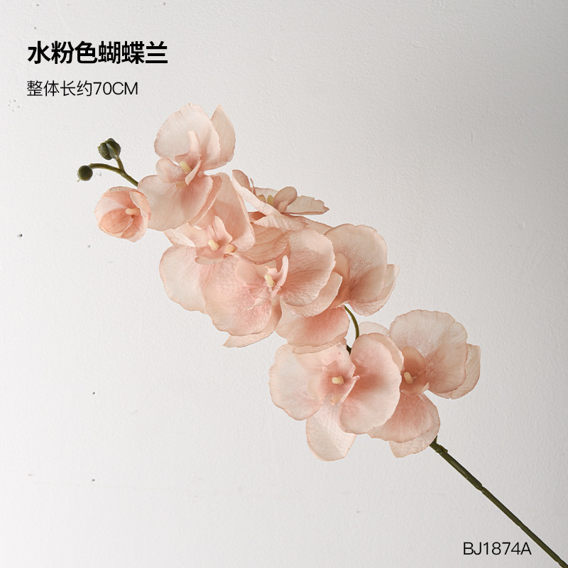 호접란-물 핑크