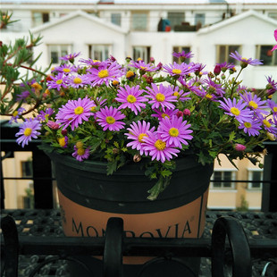 СrշNbײļNֲջN_҃ͥԺ̨