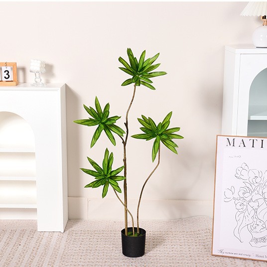Lily Bamboo A regular 4 cabezas-100cm