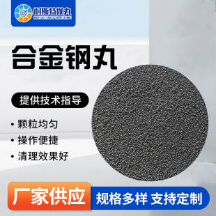 Alloy Steel Shot Blasting Machine Accessories Stainless Steel Shot Steel Wire Cutting Shot Sandblasting Abrasive Shot Blasting Machine Rust Removal Cast Steel Shot