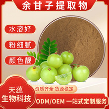 余甘子提取物水溶余甘子粉黄酮多酚余柑子药食同源固体饮料原料粉
