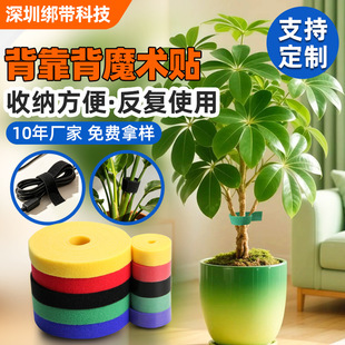 �羳��������Ҏ������ħ�g�N������ɫ�@��ֲ��������������l