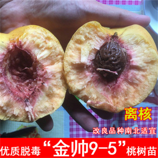 ����Ѫ�Ҙ����޽��ش�ˮ�����Ϸ������Nֲ�������ͥԺ���Ԯ���