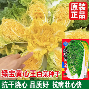 �G���S�����ײ˷N������S���S��ײ��＾���N�Nֲ�߲˷N�Ѽ��Ķ�