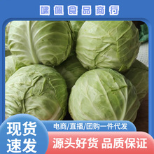 �������r�A����G���Ĳ˸��{ɏ�����r���ԷN�Fժ�F�l����ɳ�����]