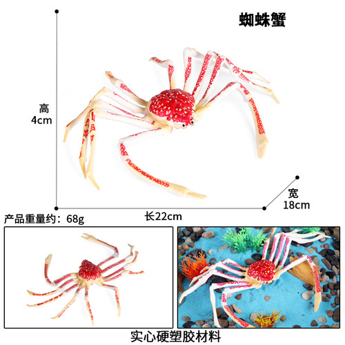 Simulated ocean spider crab animal model children's cognitive toy plastic ornaments static science and education crab figure