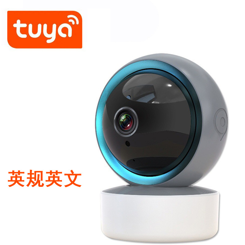 English tuya camera without card
