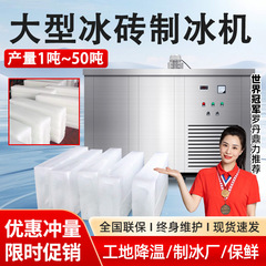 工業製氷機の大型氷レンガ機の商用氷条設備の温度を下げる大氷ブロックの全自動氷ブロックの製氷機