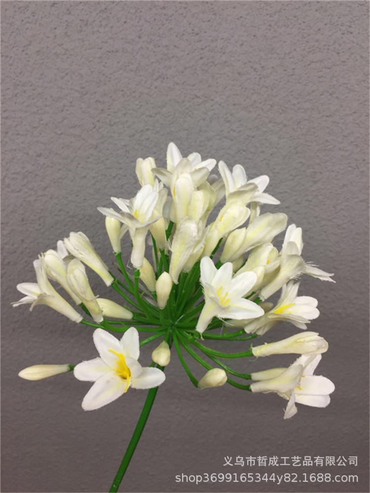 TB22wBZE21TBuNjy0FjXXajyXXa_!!