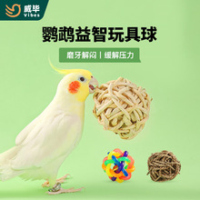 �W�^�����ҧ��ˣӖ�����ǻ���ĥ�����Pĵ����Ƥ�B�\�����Ʒ���l