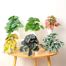 ����Gֲ23�~�^�z�ָе\��ֲ��쾰�Ҿ��҃��⠝���bٻ����l