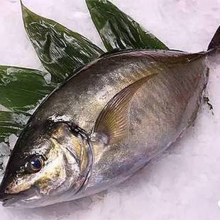 �����v�~���~��������~�ձ��������~