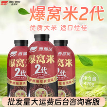 西部风爆窝米2代打窝料野钓五谷杂粮垂钓鲤鲫草饵料酒米红粒麦子