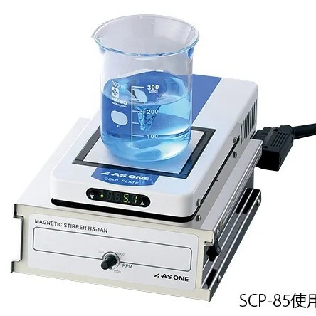 2024-11-11 17:43:20.jpg