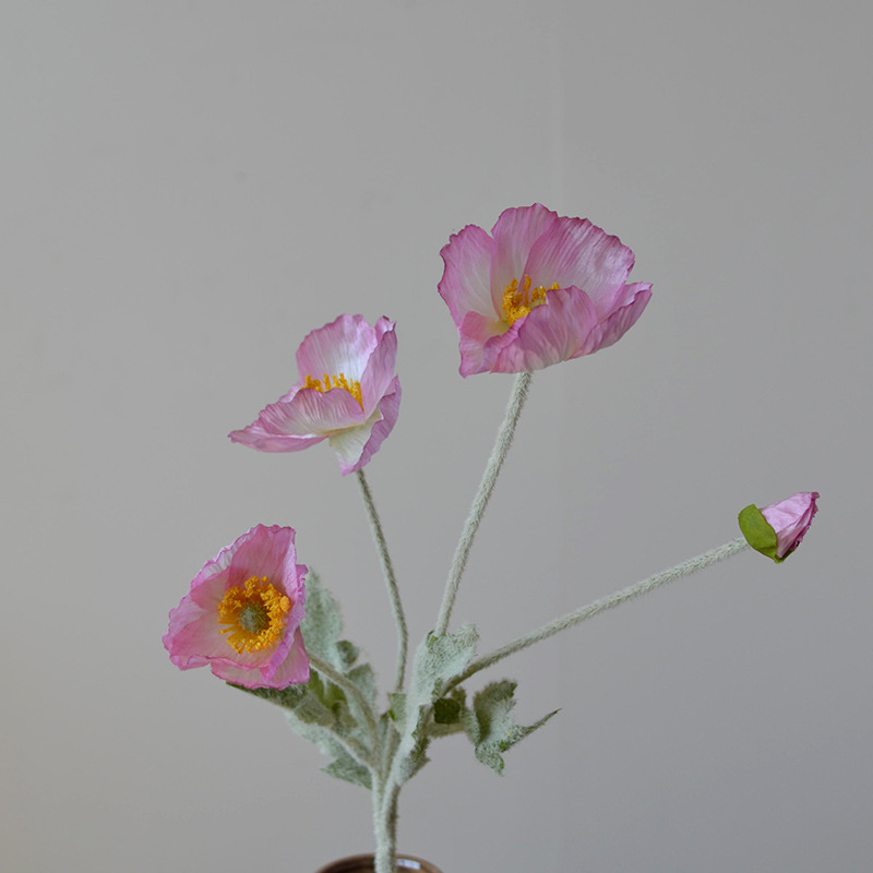 5242 라이트 핑크