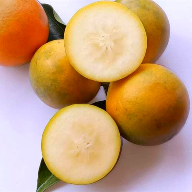 ����002_����