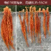 Special orange 10