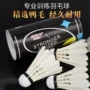 复合训练稳定桶装羽毛球