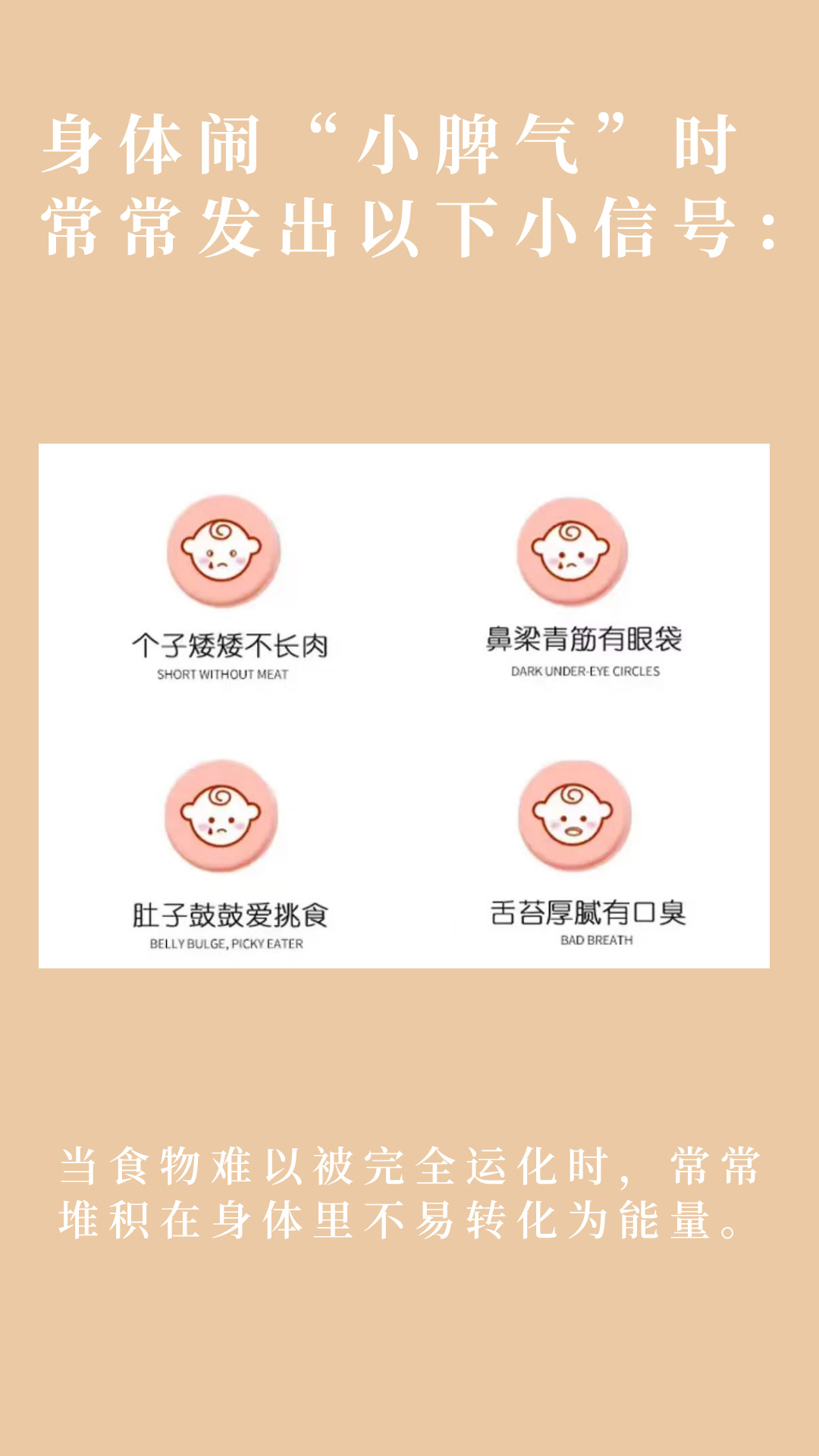 Si Shen Soup Herbal Tea Bags 40g Chinese Yam Lotus Seed Poria Fox Nut Blend for Daily Wellness key features