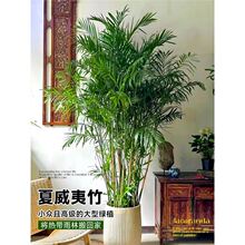 �������������Pβ��ɢβ���҃ȿ͏d�ҕ�C��߅�Ĵ��;Gֲ���Bֲ��