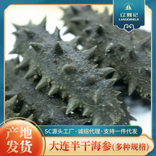 辽鼎记源头工厂 半干海参辽刺参大连海参 大连产地批发一件代发
