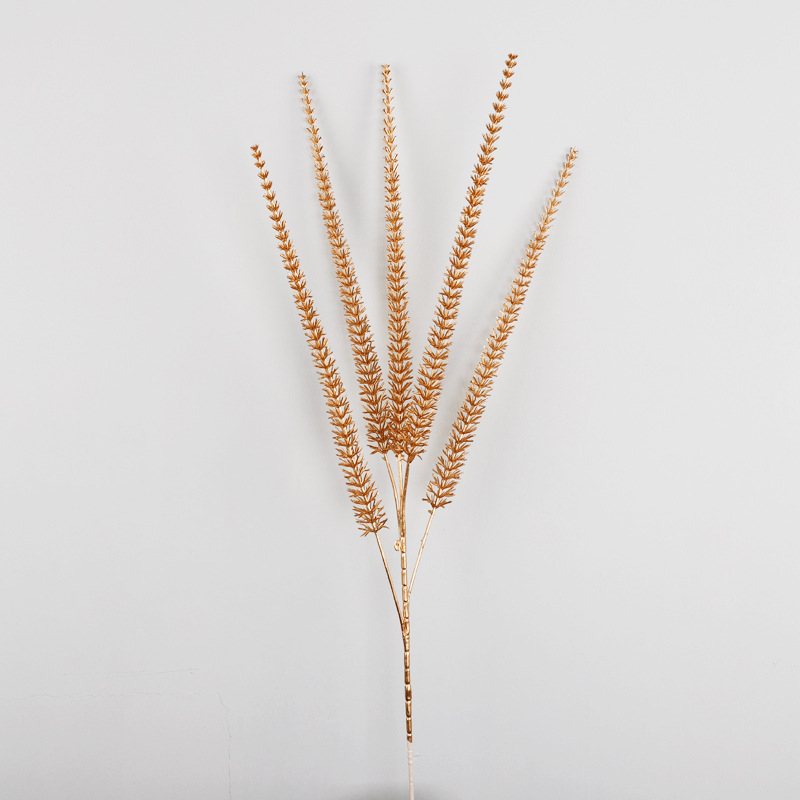 5叉针须草,高90.5,杆宽2.5