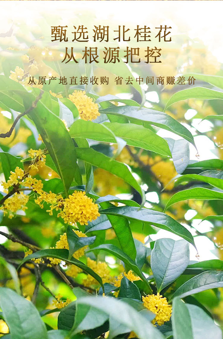 详情_05.jpg