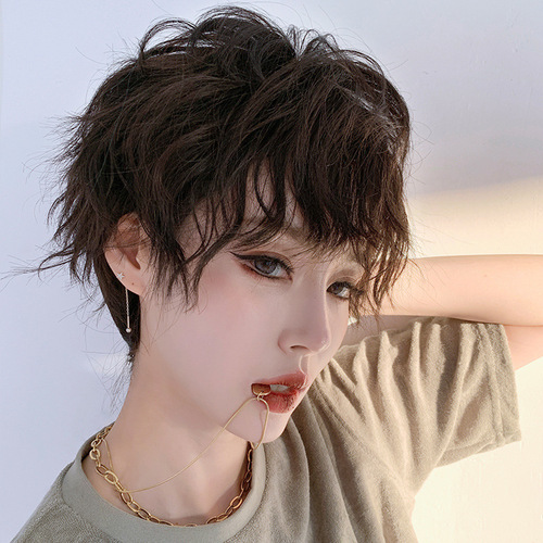 Wig female comics real short hair tinfoil permed celebrity full headgear natural fluffy neutral full headgear can be wholesaled
