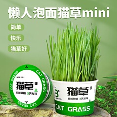怠惰な猫草缶詰猫の毛玉除去消化インスタントラーメン水耕栽培猫草猫スナックペット用品卸売