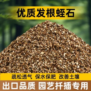 ��ʯǤ�����B�������������w������������������|�¼�Ǥ�匣����