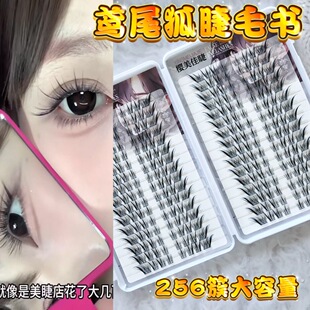 �����ѽ��Sβ����β��ë��ʽ��ϵ�ٽ�ë���ܷ���ֶΆδ���Ȼ��ë