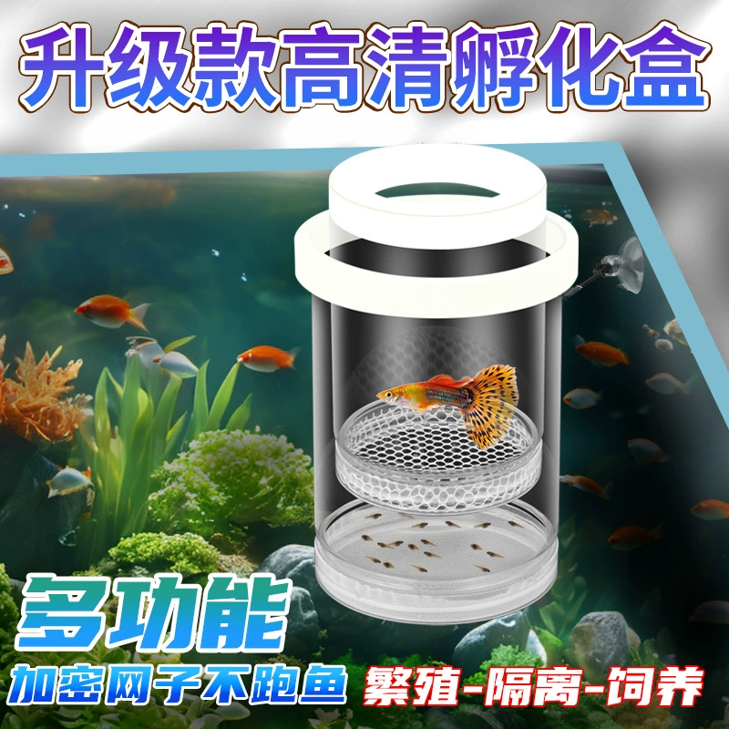 Изолирующий ящик для аквариума, инкубационный ящик для гуппи, детская комната, ящик для разведения, хвост феникса, зебра, самка рыбы, небольшой аквариум, живородящая рыба, щупальце